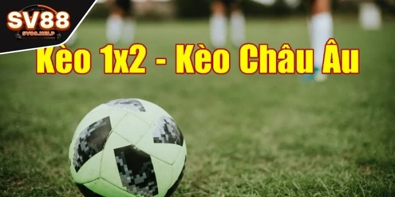 Kèo bóng cho người mới nên chọn chính là dạng cược châu Âu