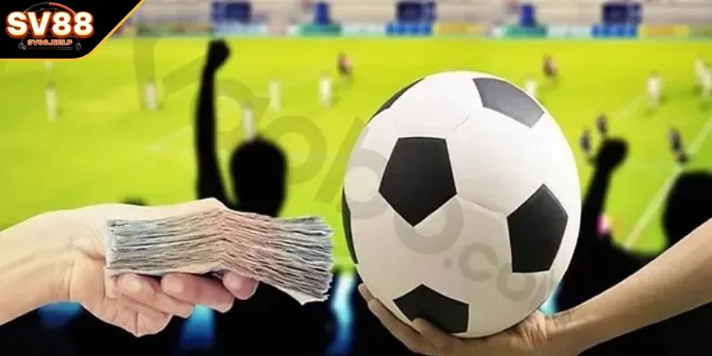 Bí kíp chơi từ các chuyên gia