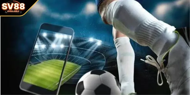 Chú ý đặc biệt các vấn đề để tránh sai sót